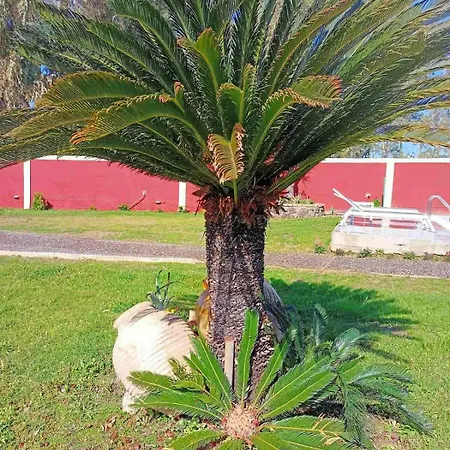 Villa Pavlos Sofia *