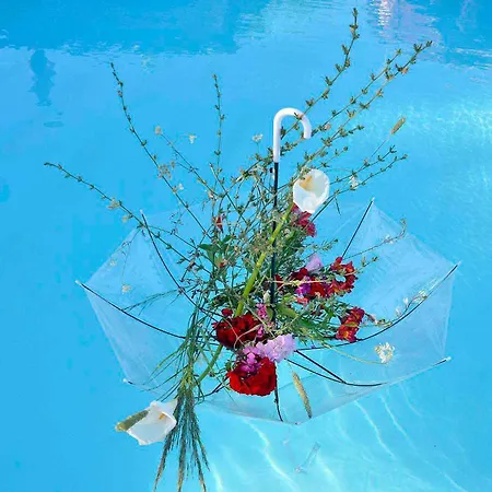 Villa Pavlos Sofia Halikounas