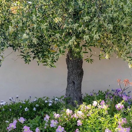 Pavlos & Sofia Harmony With Private Pool Villa Halikounas