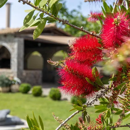 Villa Pavlos & Sofia Harmony With Private Pool *