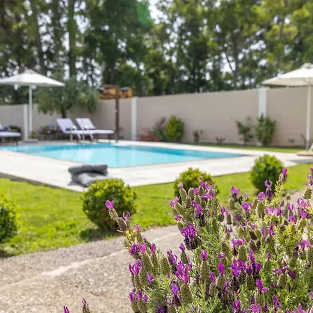 Pavlos & Sofia Harmony With Private Pool Villa Halikounas