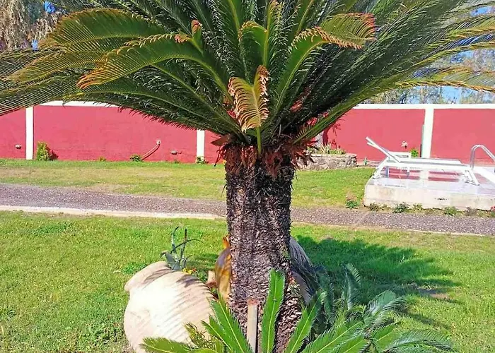 Villa Pavlos Sofia *