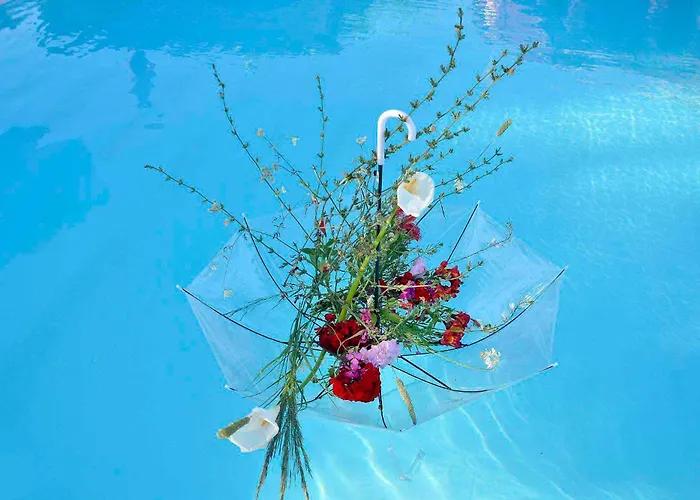 Villa Pavlos Sofia Halikounas