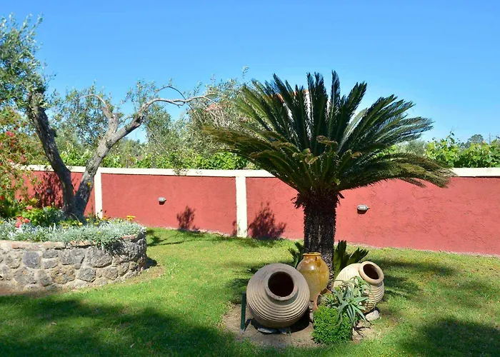 Pavlos Sofia Halikounas