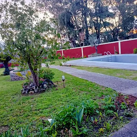 Pavlos Sofia Halikounas