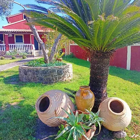 Pavlos Sofia Halikounas